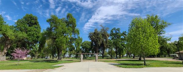 Picture of Burris Park from the amphitheater. Picture of Burris Park from the amphitheater.